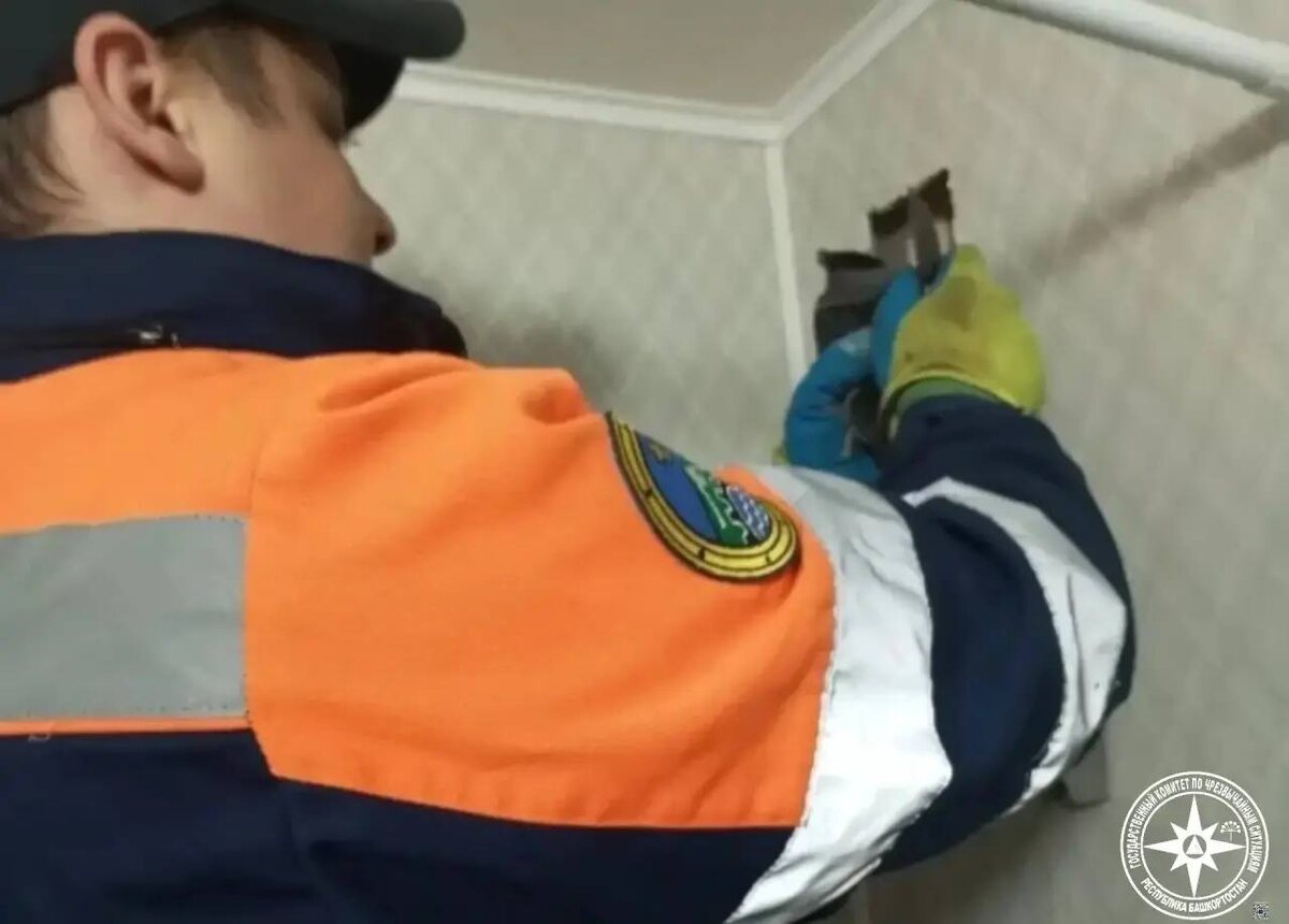    Птица застряла в вентиляционной шахте в жилом доме в Башкирии