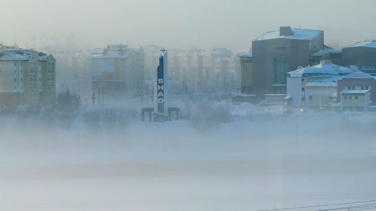    Фото: Андрей Ткачёв / «Ямал-Медиа»