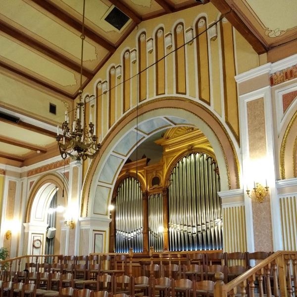 Фото автора статьи 