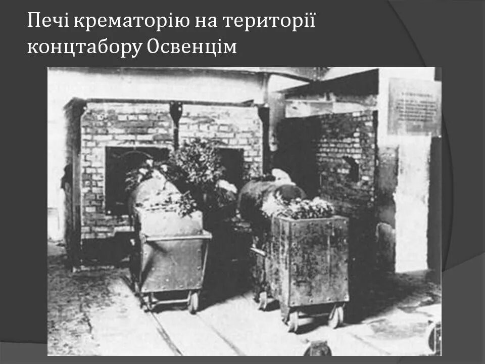 Со свободного доступа.