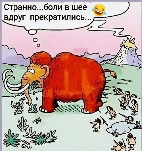 Изображение получено из общедоступных социальных сетей. https://vk.com/club206388128