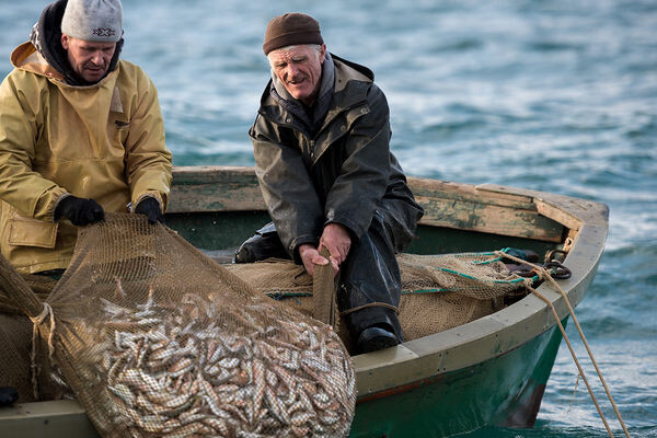 Алексей Мальгавко/РИА Новости   📷