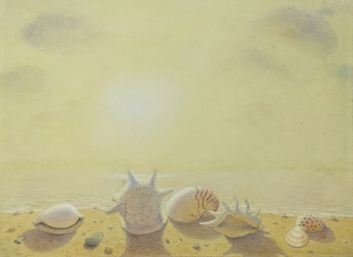 Мухин-Чебоксарский А. Л. Морские раковины. 2025 г., бум, акв., 20х27