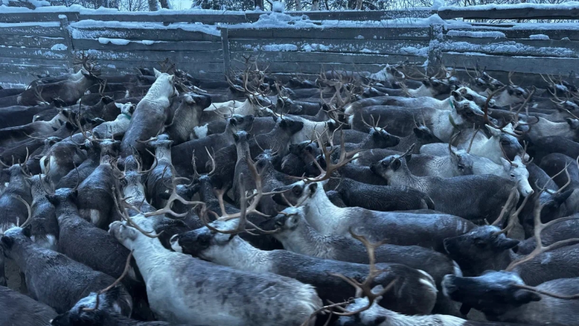    Фото Минсельхоза Коми