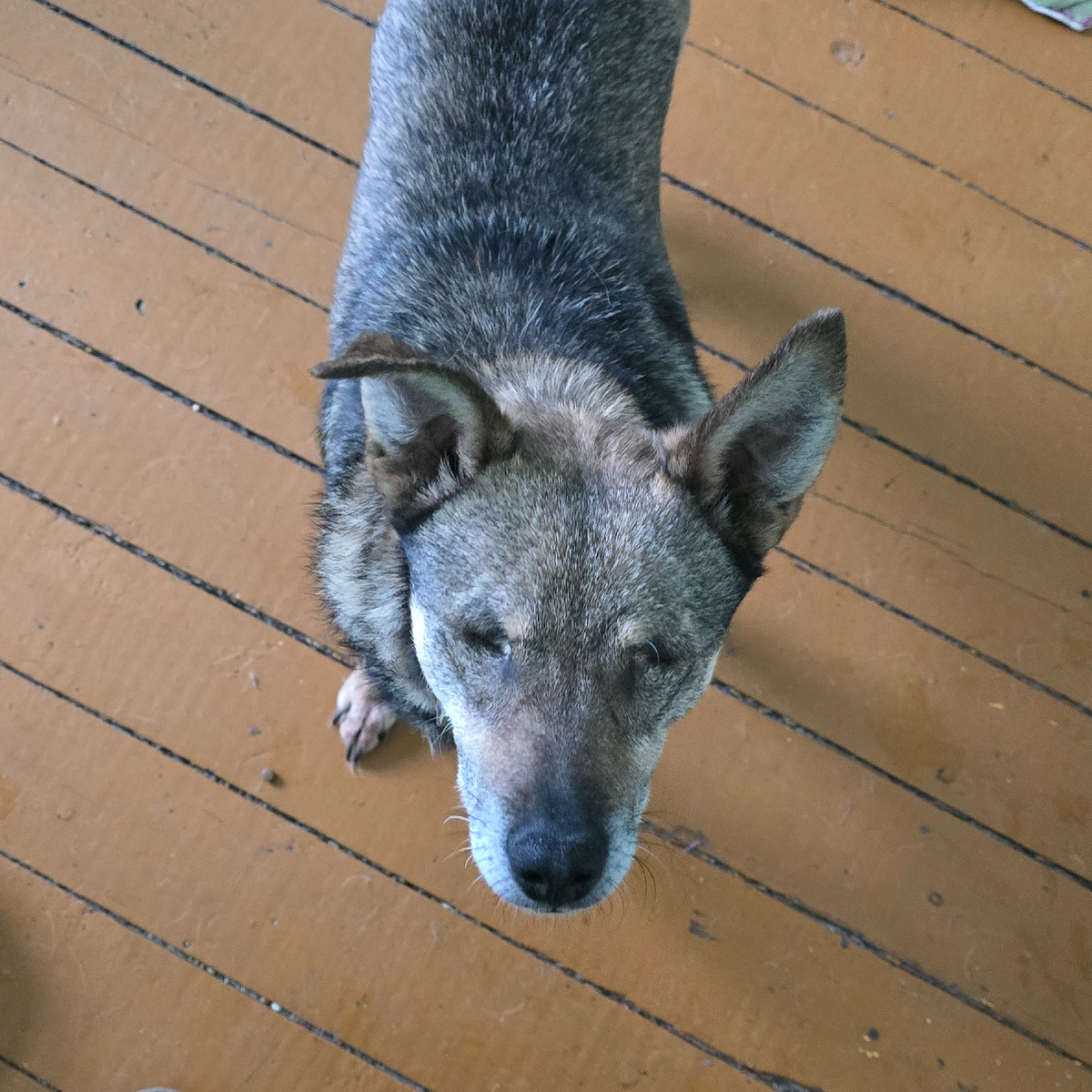 взгляд в никуда