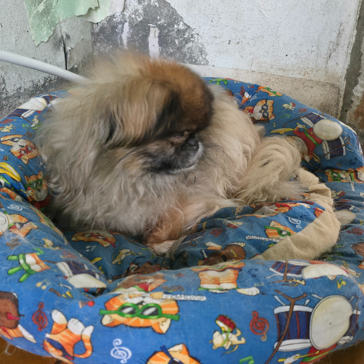 пушистая тишина на детском одеяле