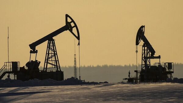    © Sputnik / Максим Богодвид