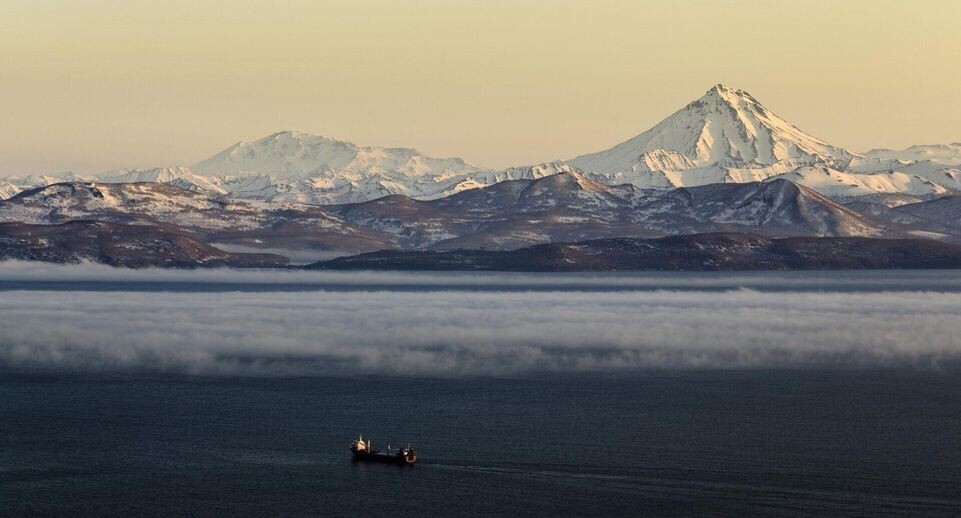    РИА «Новости»