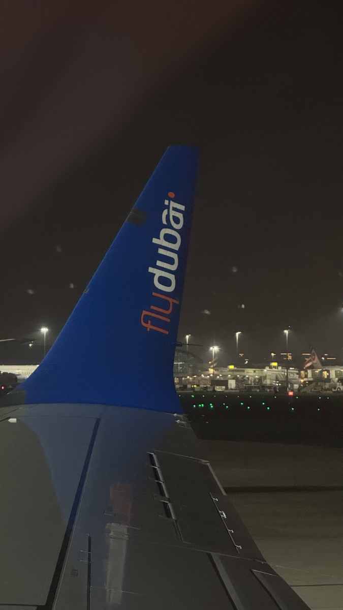 Дубай я видела только из окна самолёта в 2025г. Счастье было так близко…