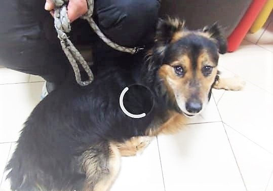 В отличие от Ольги, снимок не особо "грузится". Благодарю за фото Ольгу МАТКИНУ)