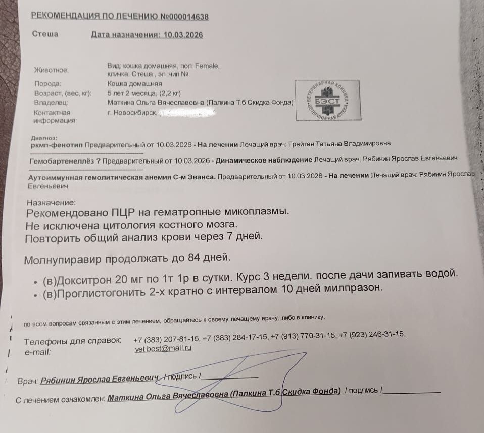 Благодарю за фото Ольгу МАТКИНУ)