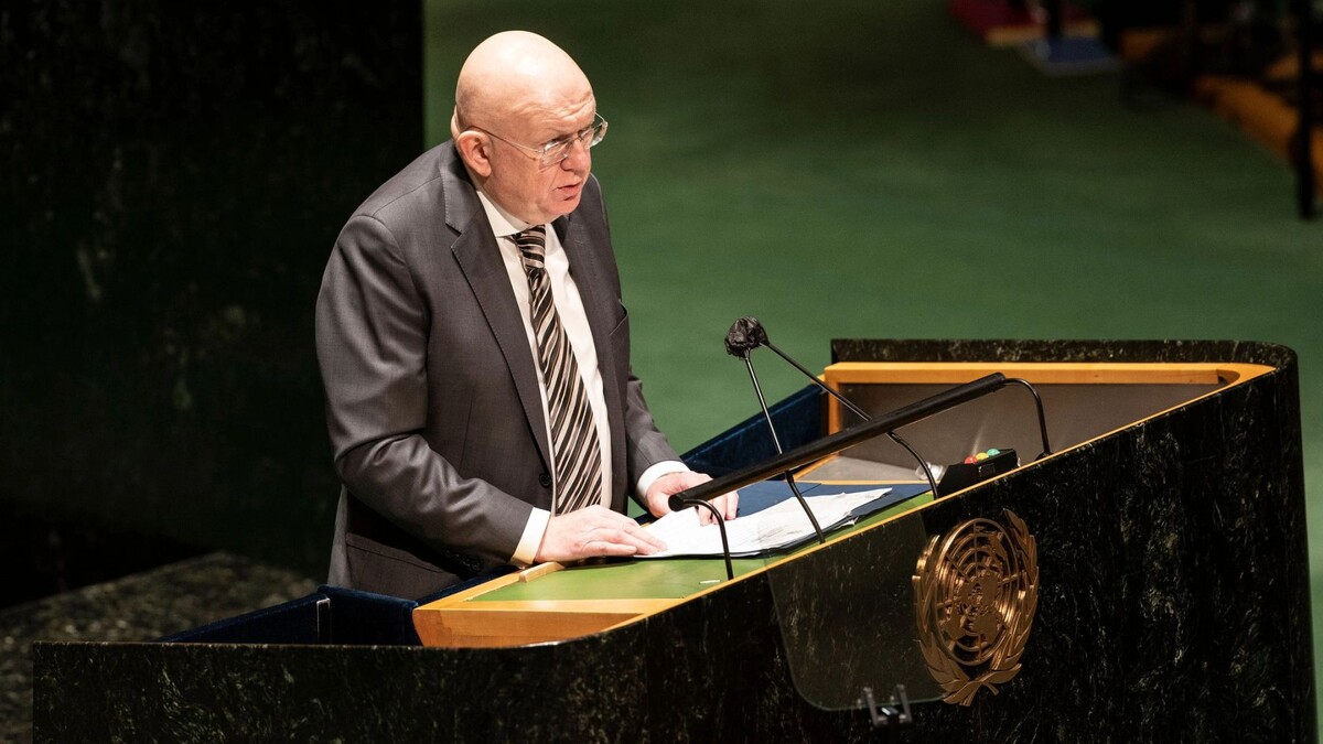    Фото: lev radin / Shutterstock / Fotodom