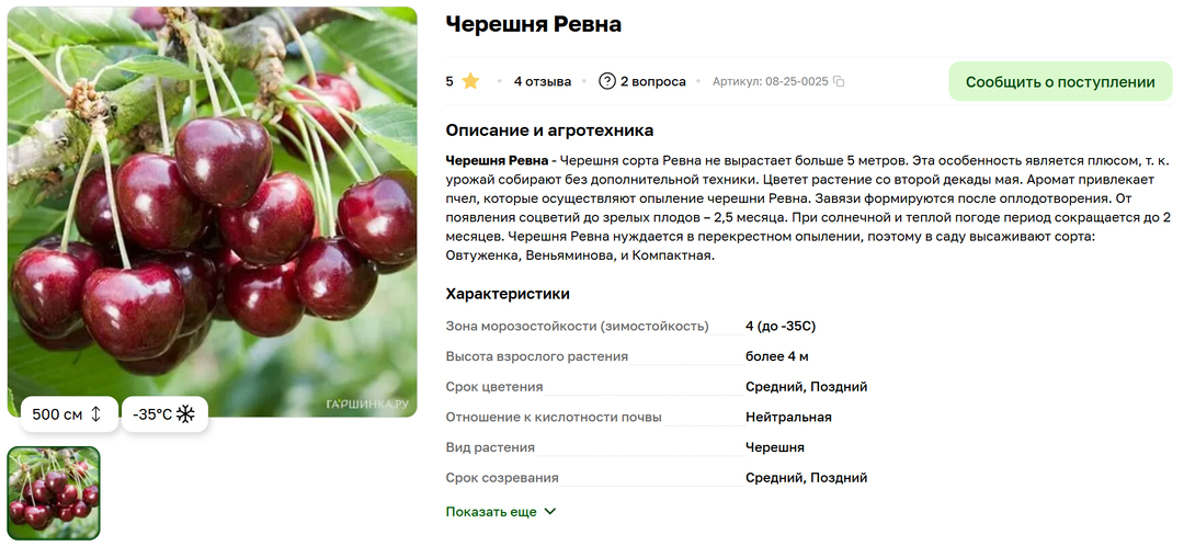 Окончательный переход от семян к саженцам!))