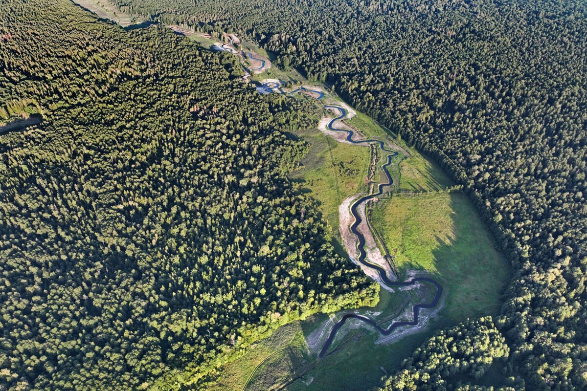  Река Наревка после работ по восстановлению естественного русла. © Национальный парк «Беловежская пуща»