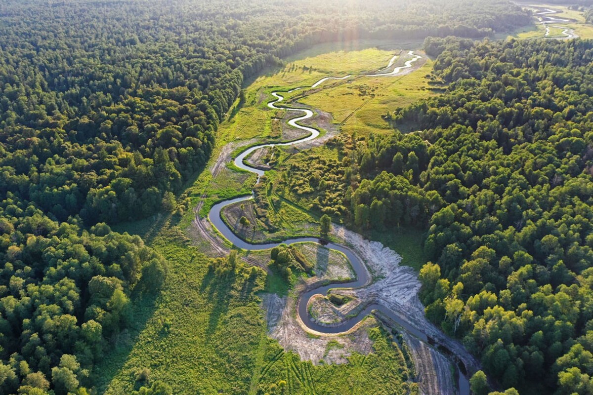  Река Наревка. © Национальный парк «Беловежская пуща»