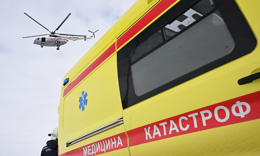    © Максим Богодвид/РИА Новости