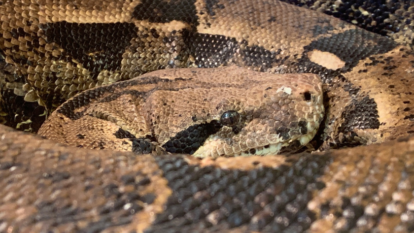    Фото: Вячеслав Вольгин