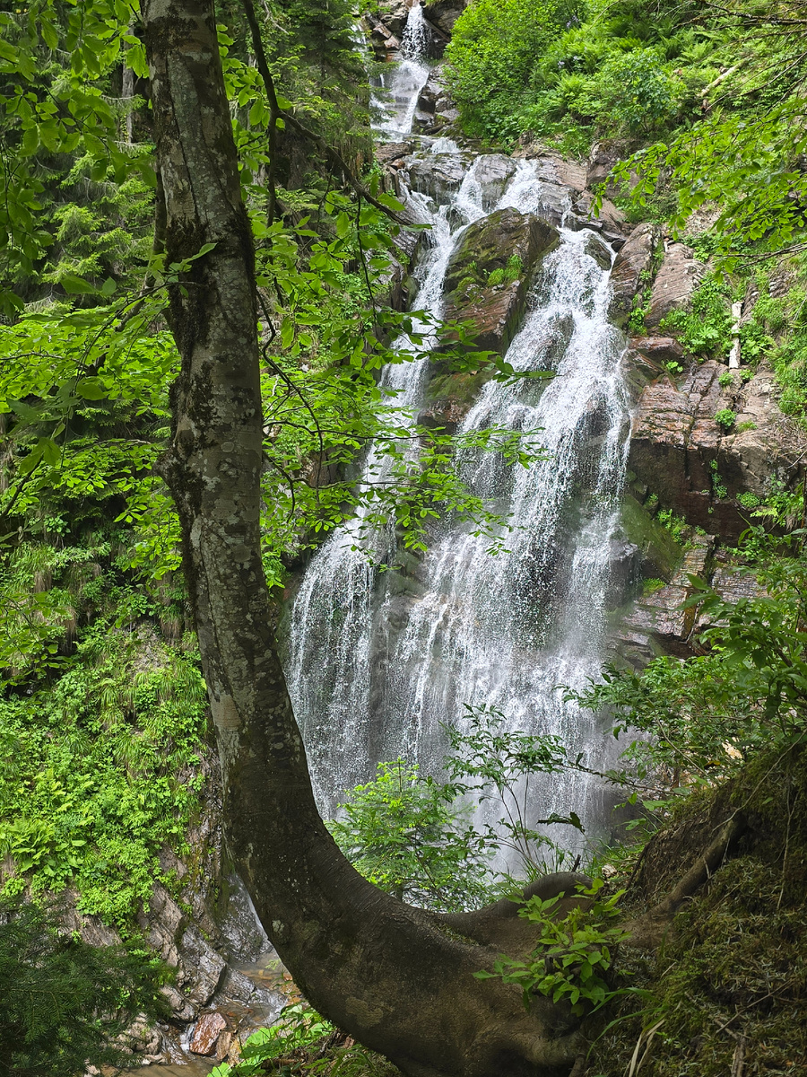 Водопад на реке Менделиха (Роза Хутор, 2024 г)