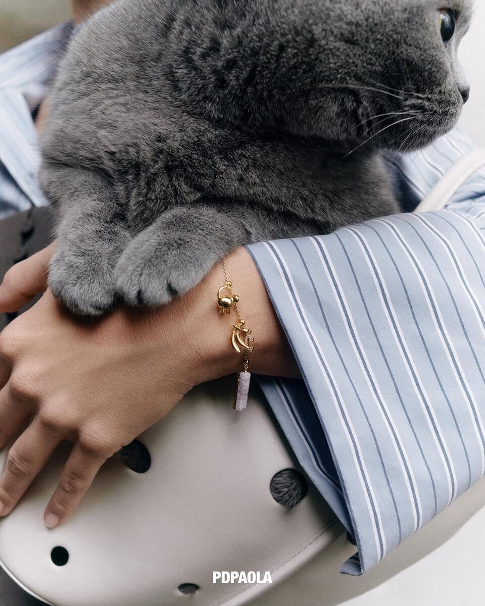    В России появился испанский ювелирный бренд Pdpaola (фото 4)