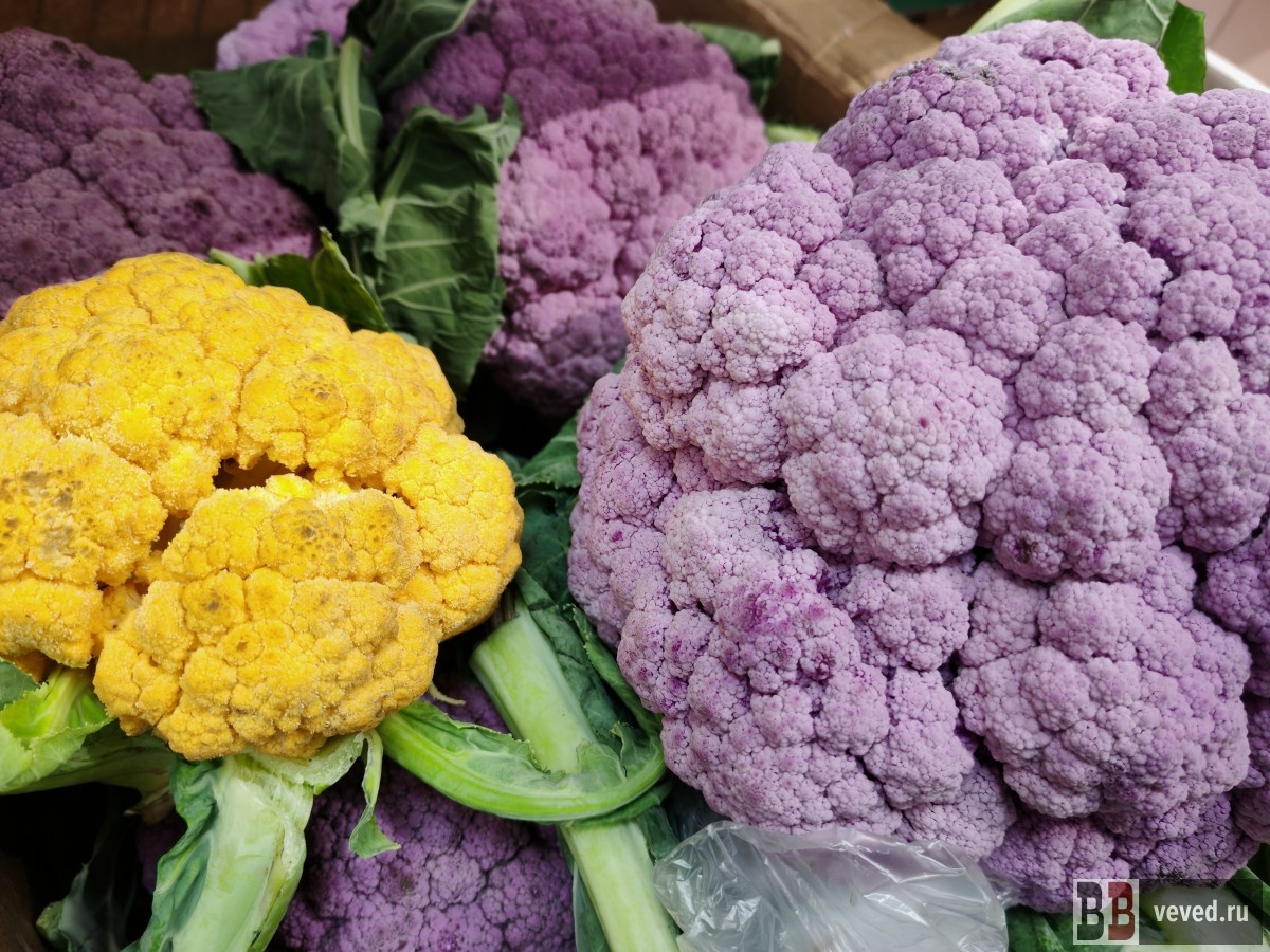     Фото: Дарья Суродина / Вечерние ведомости