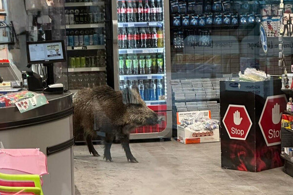 Telegram-канал «Filiżanka»  📷