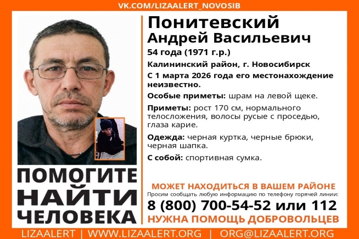    Иллюстрация ЛизыАлерт