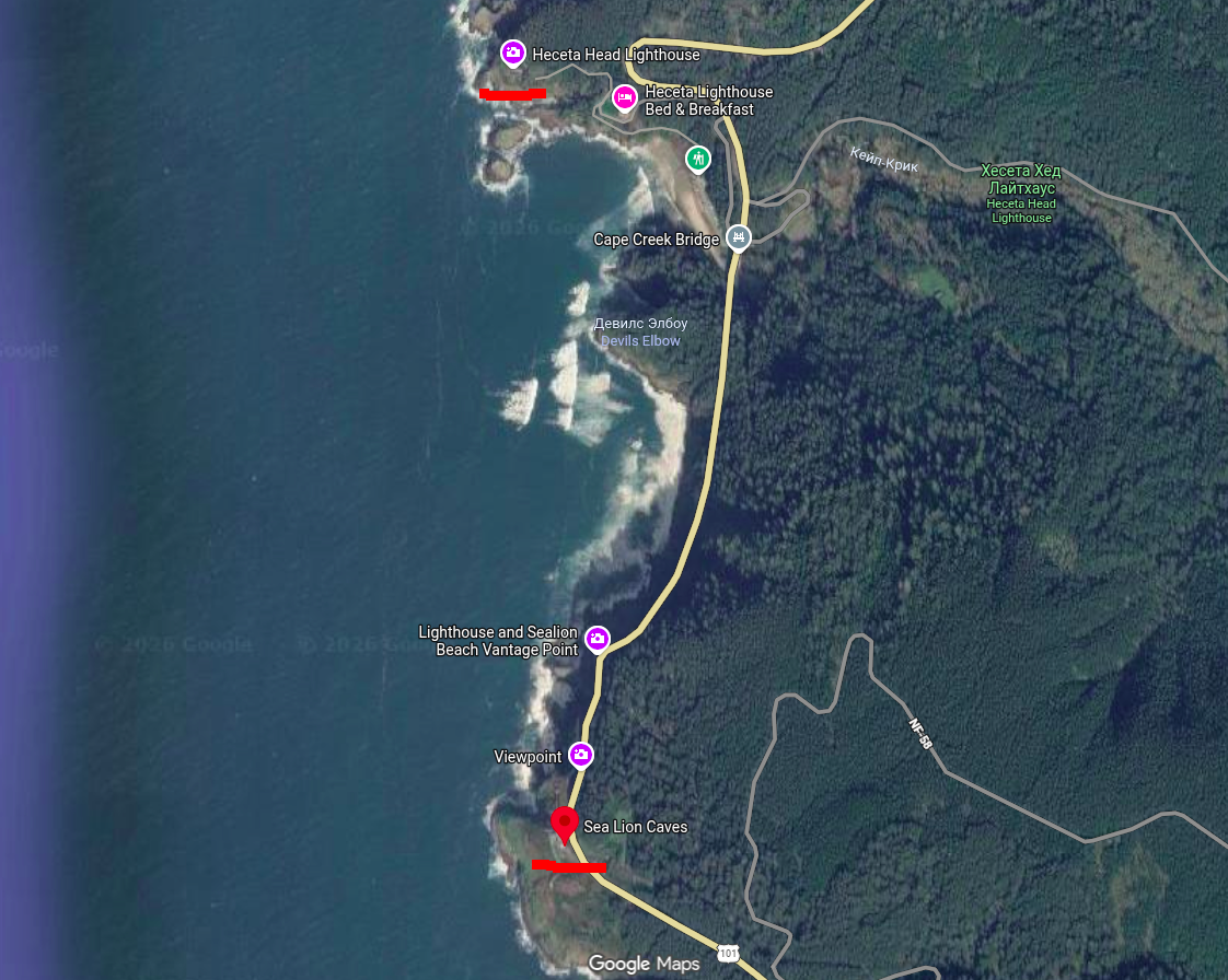 Морские львы и маяк на карте Гугла