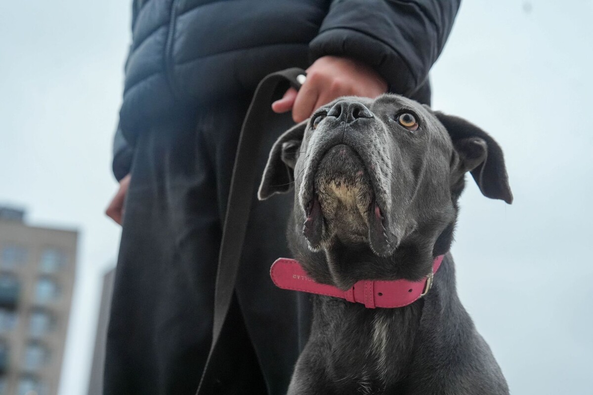     / Источник: © ИЗВЕСТИЯ/Андрей Эрштрем