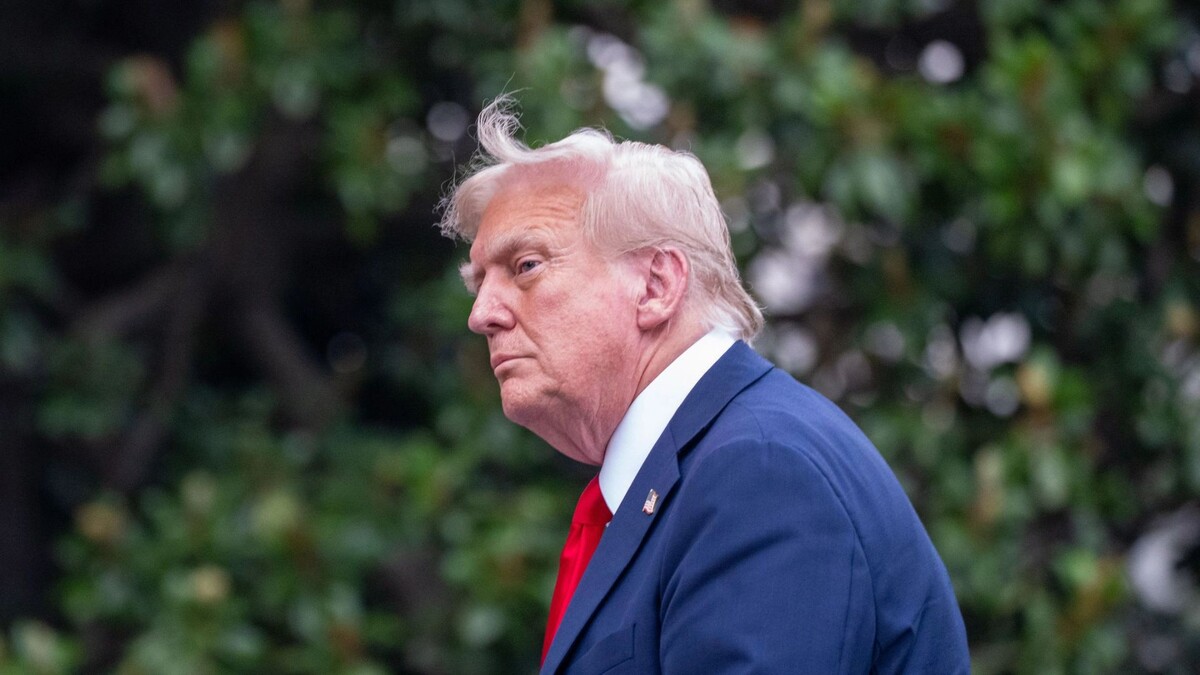    Фото:Andrew Leyden/Shutterstock/Fotodom