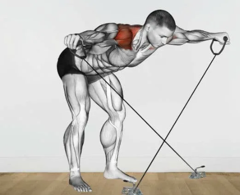 Тайна идеальных плеч: Какое упражнение на заднюю дельту действительно работает лучше всех?