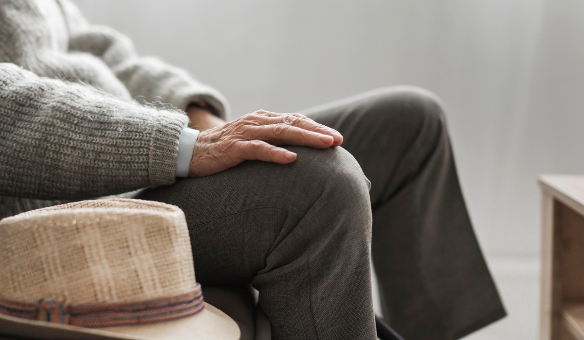    Фото: freepik.com