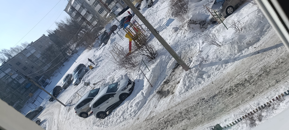 Фото автора.