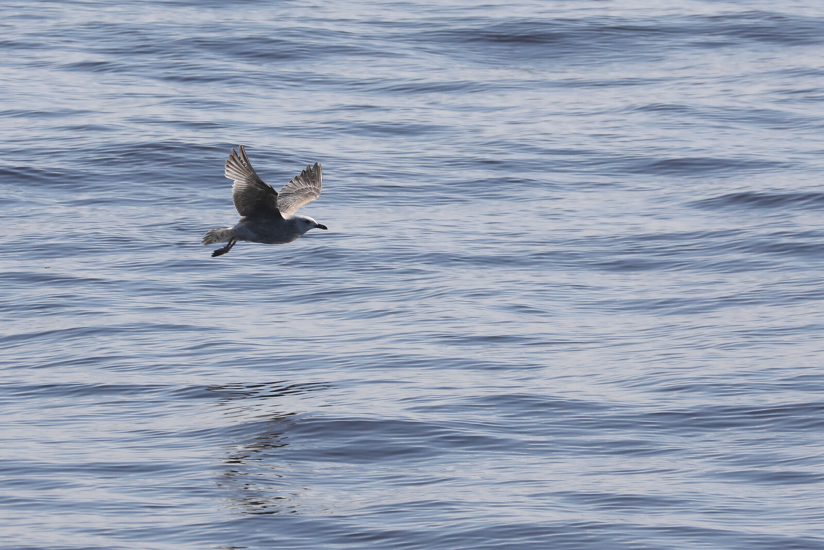 Фото: Александр Глуз