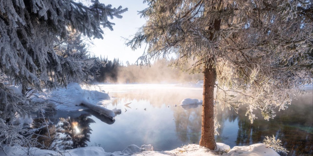 Когда весеннее утро выглядит вот так