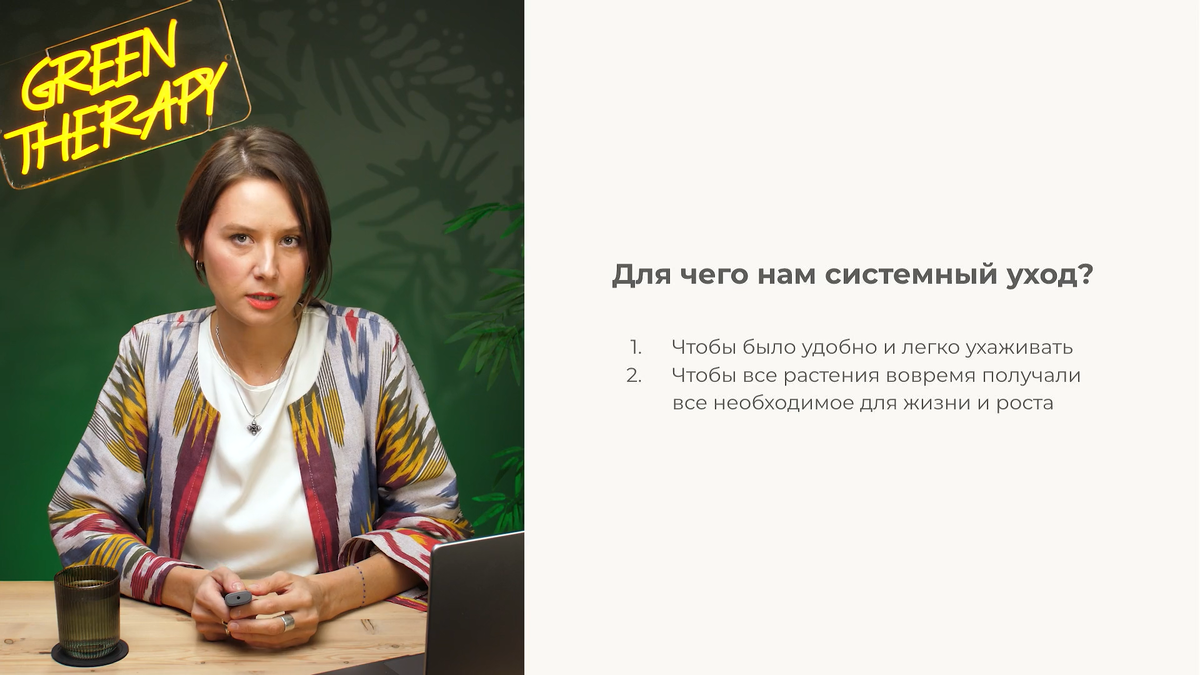 Кадр из урока «Как выстроить системный уход за растениями»