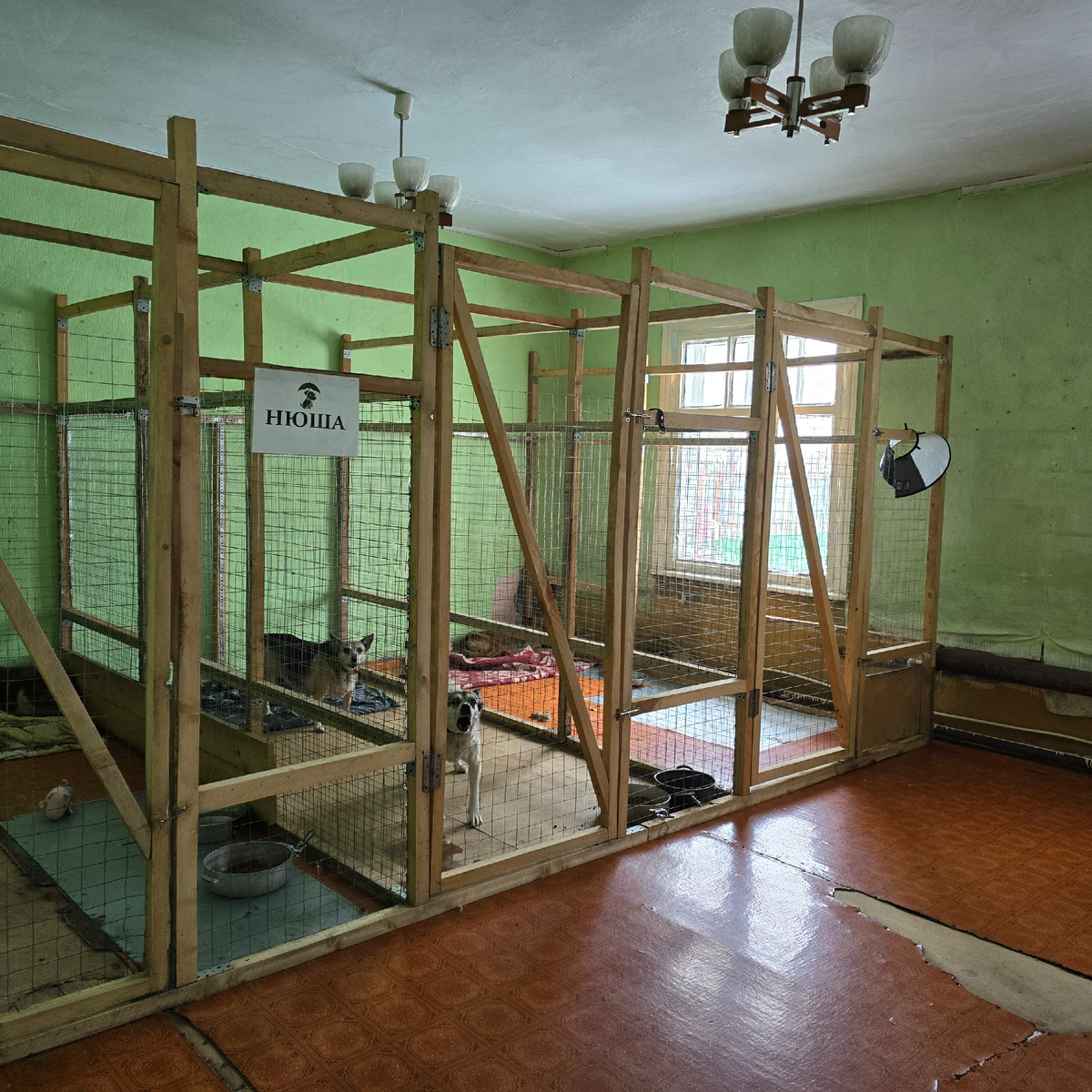 вольеры как символ одиночества