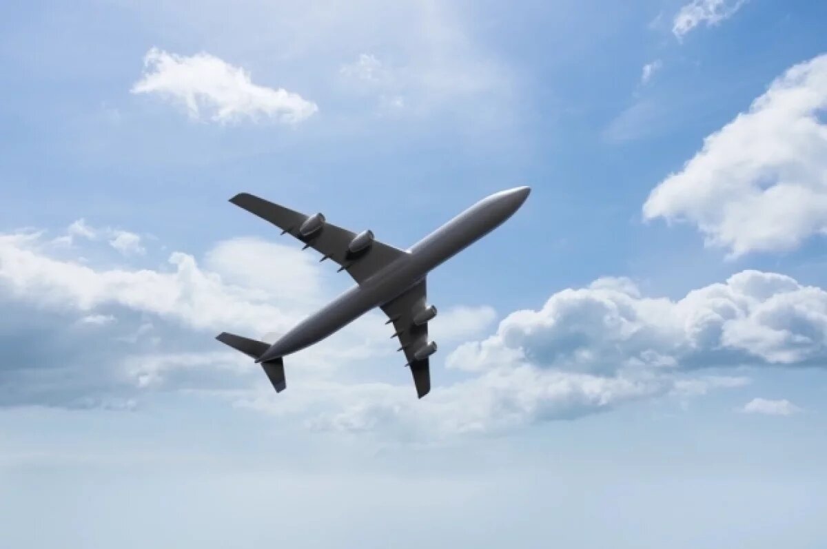    В Росавиации поддержат Томскую область в запуске международных перелётов