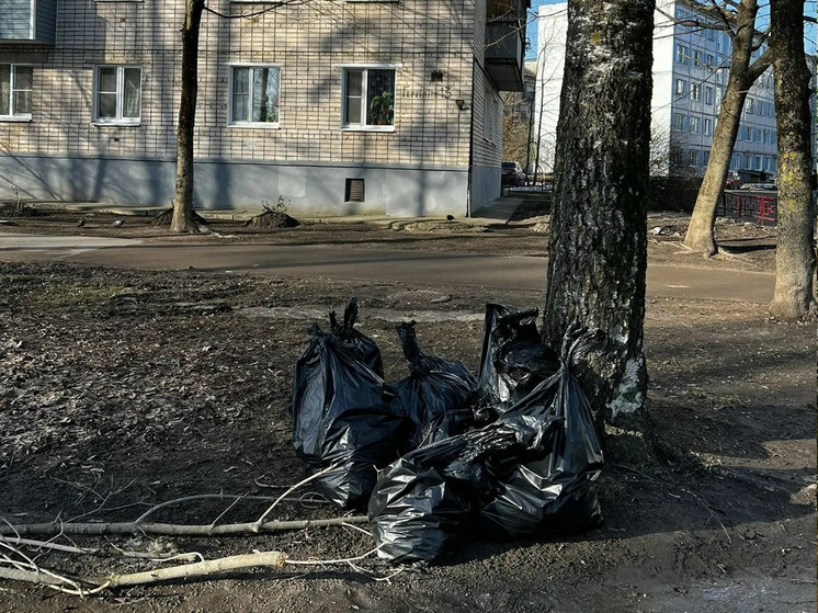     Участники субботника очистили от мусора часть улицы Германа. фото: пресс-служба МКУ «Городское хозяйство»