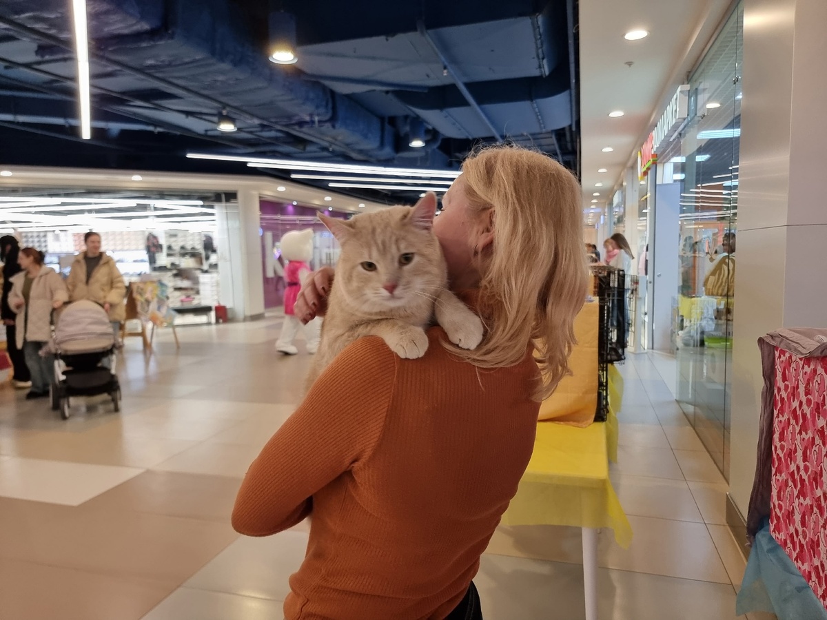    Ирина Яковлева / Фактор