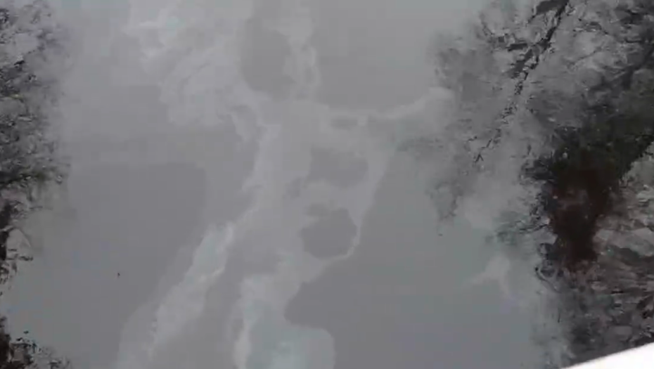    Автор фото: 78.ru