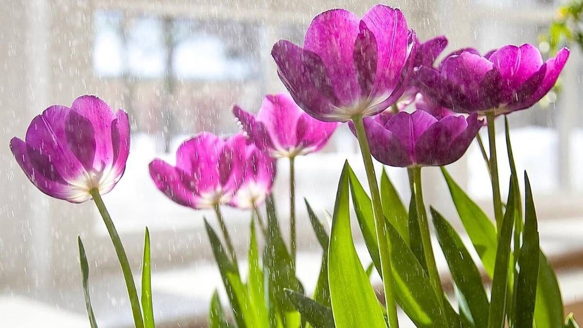    Фото: пресс-служба Департамента культуры города Москвы