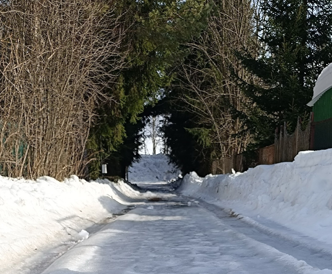 Фотохудожник Д.Кариева