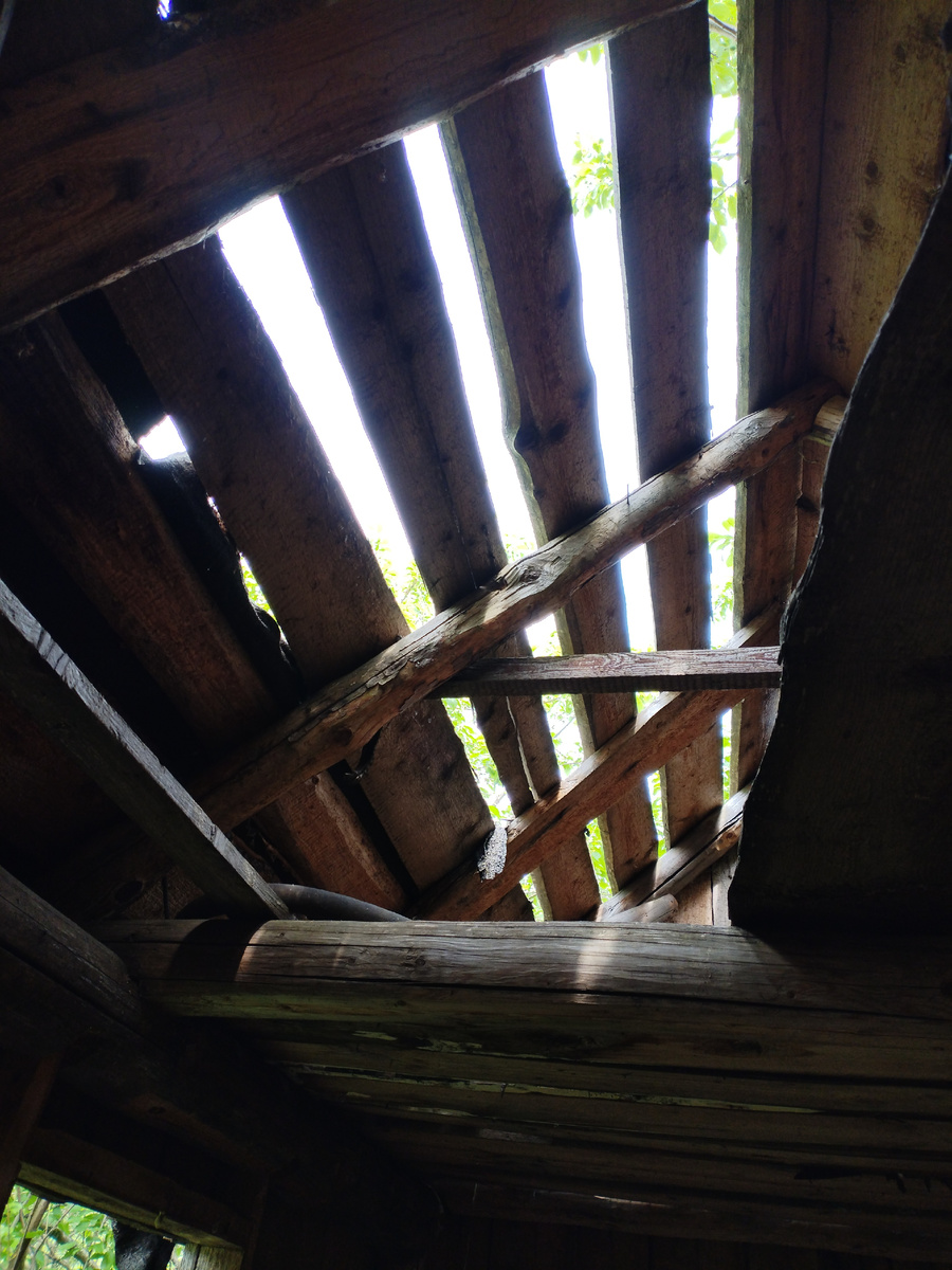 Вот такое вот "окно с жалюзи" было у нас вместо южного ската крыши первую неделю. Окно – потому что в таком виде внутри домика было значительно светлее, чем стало после ремонта 🤭 А вот эти досчатые "жалюзи" - обрешетку - и облюбовали местные мураши себе под домик