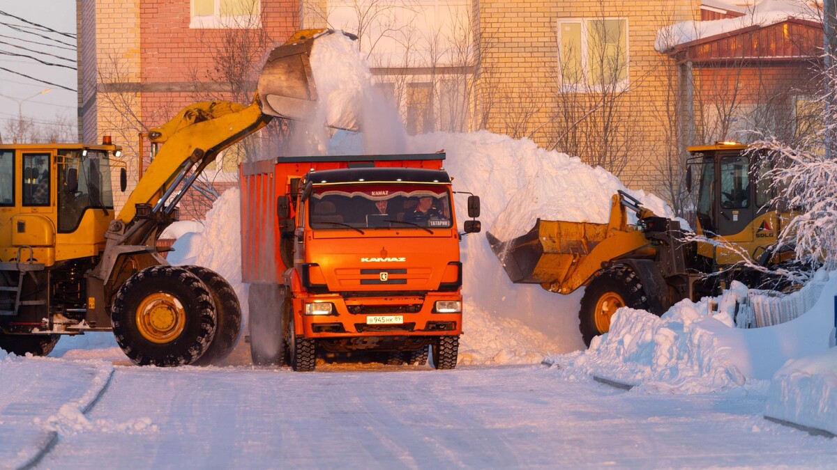    Фото: Федор Воронов/«Ямал-Медиа»