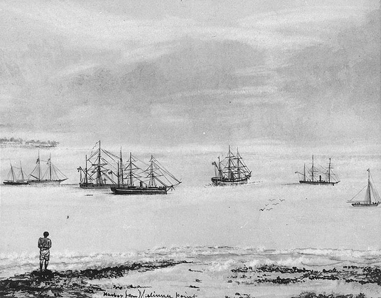 Корабли в бухте Апиа накануне урагана. Взято из открытых источников.