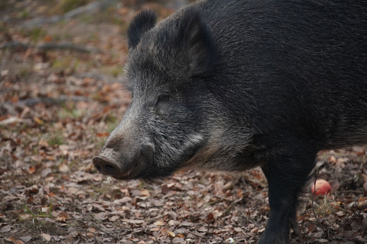     / Источник: © ИЗВЕСТИЯ/Архив «Известий»