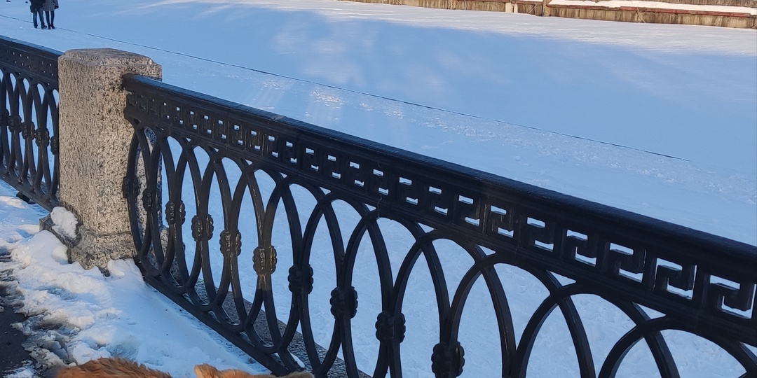 «Почему весной видно, кто собачник, а кто — свинья? Разбор с примерами»