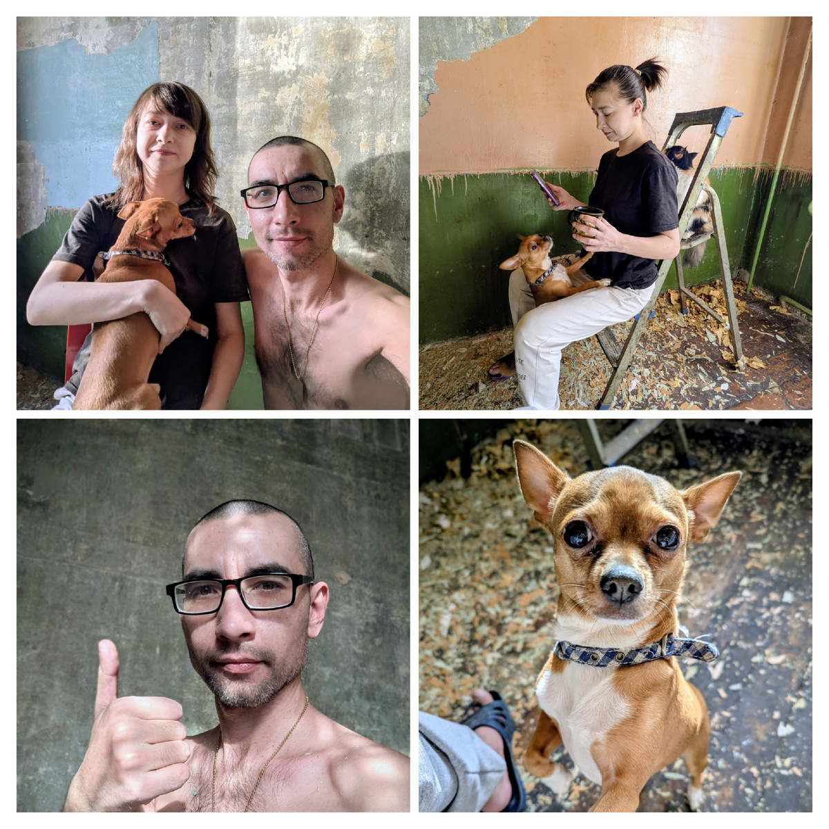 Лайф из Лайф