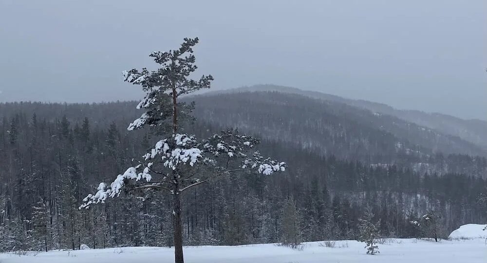 Погода в Стерлитамаке на воскресенье, 15 марта 2026 года