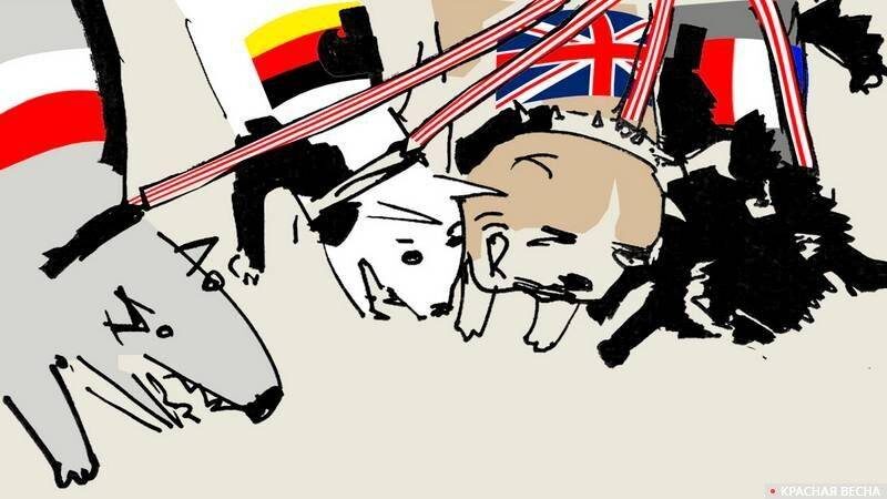     Европейская свора   
(с) ИА Красная Весна